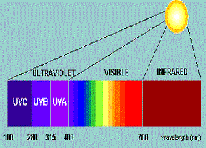 How Natural Light Works