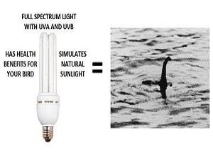 What does Full Spectrum mean?